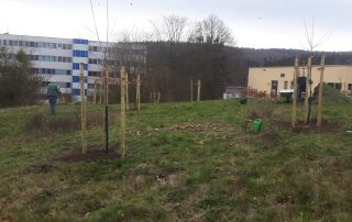 Hospiz Salzgitter Streuobstwiese