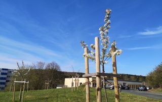 Hospiz Salzgitter - Foto 1