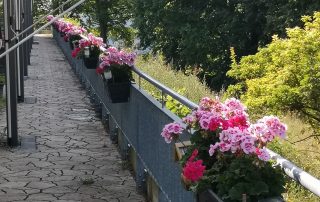 Hospiz Salzgitter - Foto 2