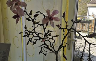 Hospiz Salzgitter - Pflanzaktion 2021