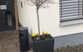 Hospiz Salzgitter - Blumen pflanzen