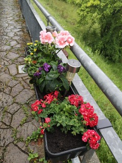 Hospiz Salzgitter - Blumen pflanzen
