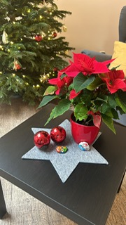 Hospiz Salzgitter – Skatgruppe Hospiz Salzgitter - Skatgruppe