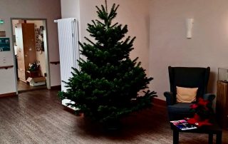 Hospiz Salzgitter - Tannenbaum