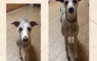 Hospiz Salzgitter - Hopw