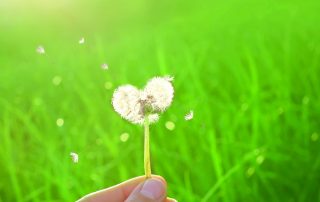 Hospiz Salzgitter - Sterbebegleiterkurs