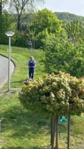 Hospiz Salzgitter – Immer im Einsatz Hospiz Salzgitter - Immer im Einsatz