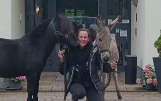 Hospiz Salzgitter - Pferd und Esel