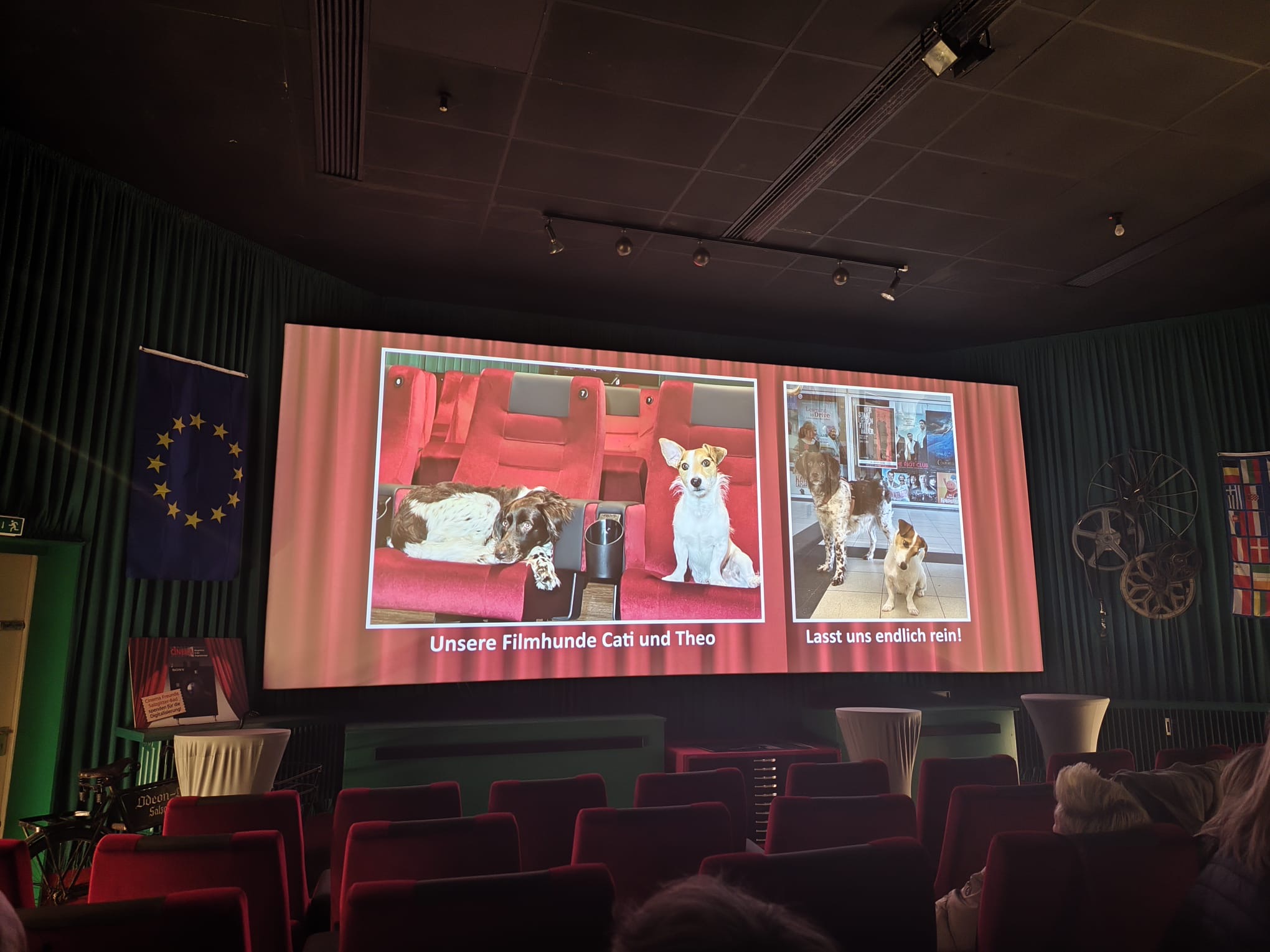 Kinoleinwand Kinoleinwand
