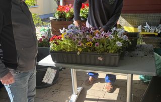 Ehrenamtliche Hausmeister Heribert Pietschmann und Ralf Kielkowsky entfernen verwelkte Blumen aus Blumenkasten