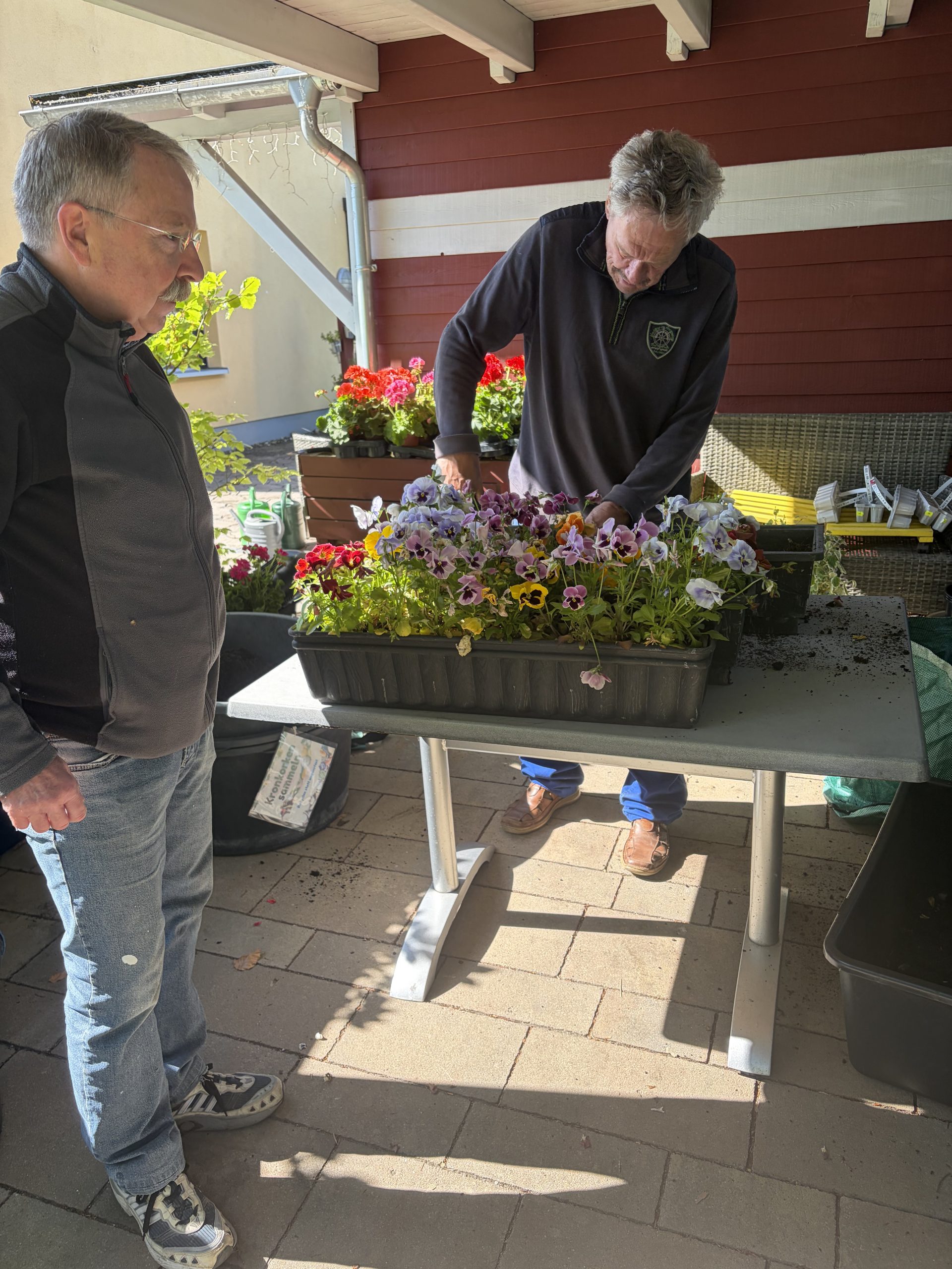 Ehrenamtliche Hausmeister Heribert Pietschmann und Ralf Kielkowsky entfernen verwelkte Blumen aus Blumenkasten