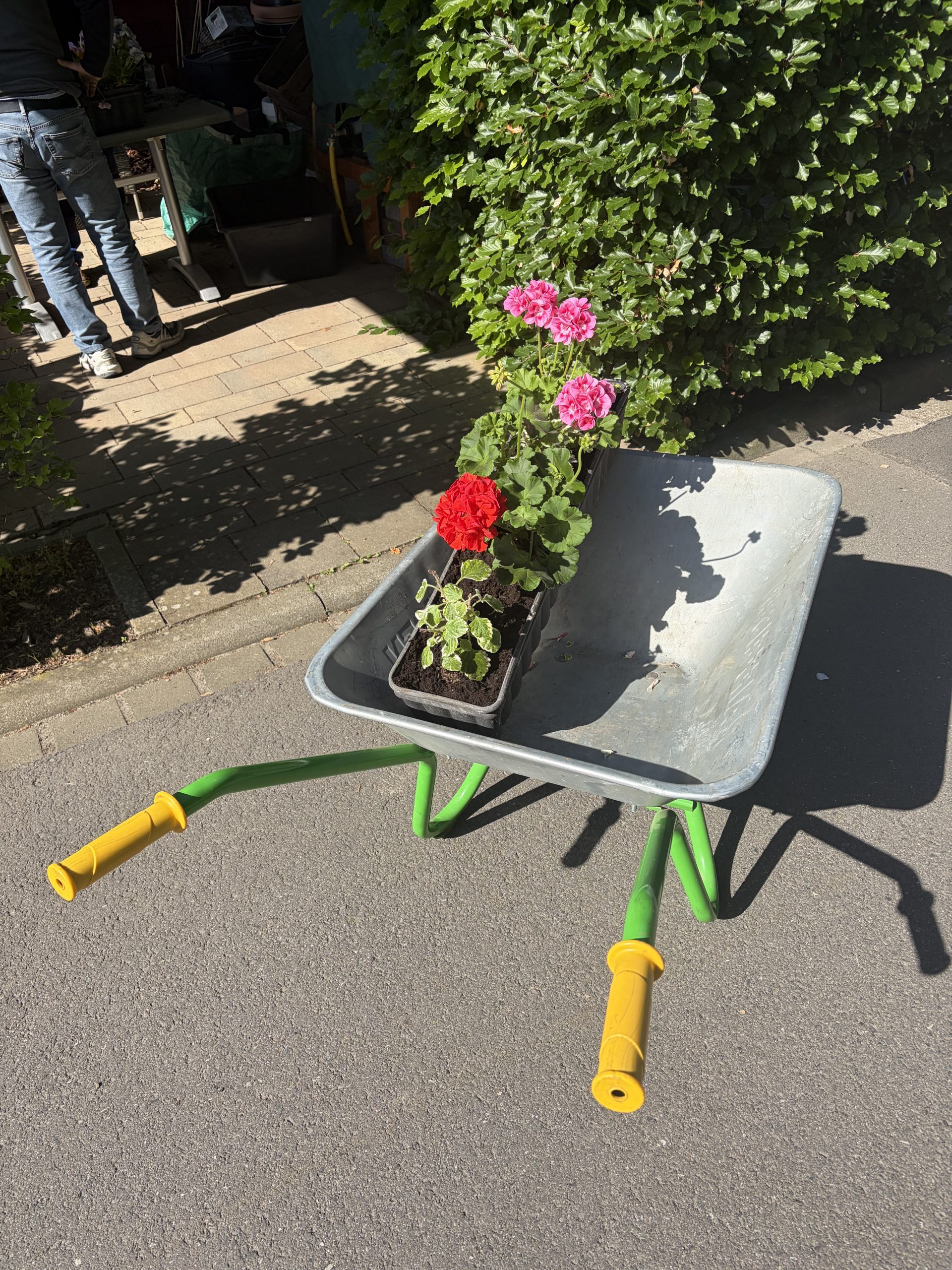 Blumen stehen in einer Schubkarre Blumen stehen in einer Schubkarre