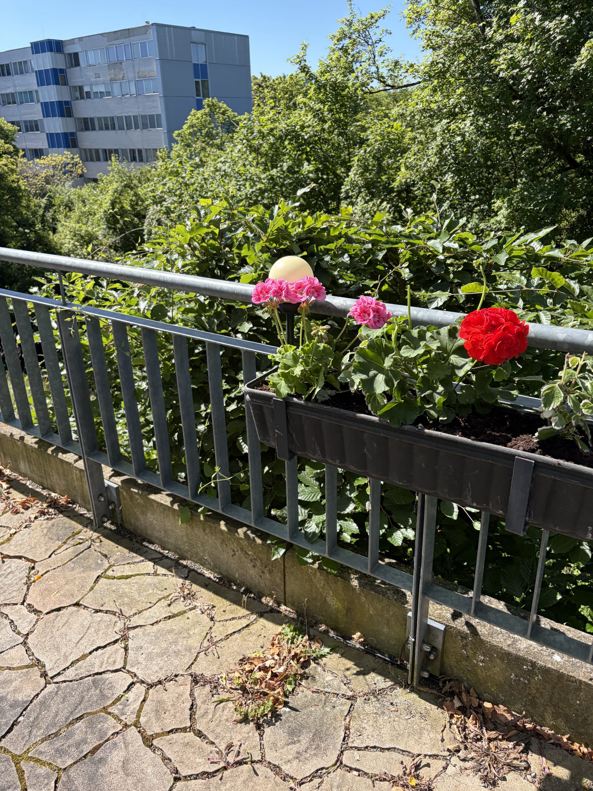 Blumen im Blumenkasten am Geländer Blumen im Blumenkasten am Geländer