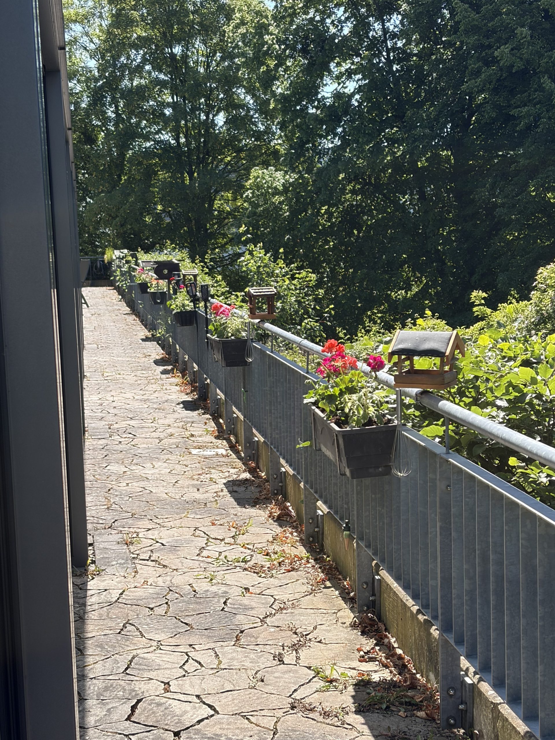 Blumen in Blumenkästen am Geländer vor Gastzimmer Blumen in Blumenkästen am Geländer vor Gastzimmer