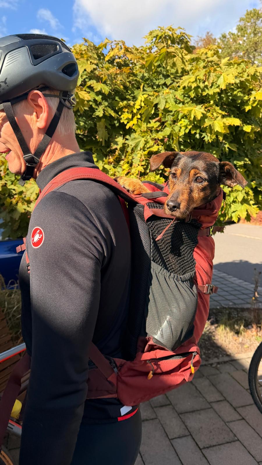 Fahrradfahrer mit Hund im Rucksack